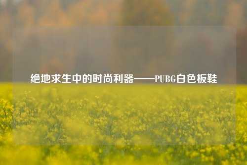 绝地求生中的时尚利器——PUBG白色板鞋