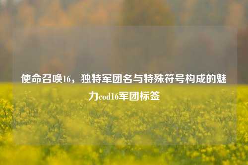 使命召唤16,独特军团名与特殊符号构成的魅力cod16军团标签