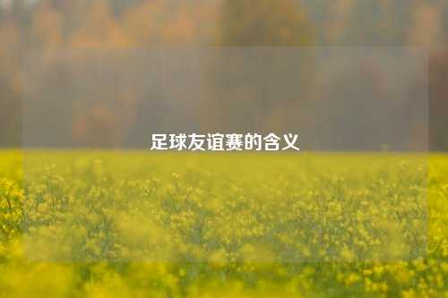 足球友谊赛的含义