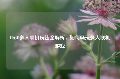 CSGO多人联机玩法全解析，如何畅玩多人联机游戏