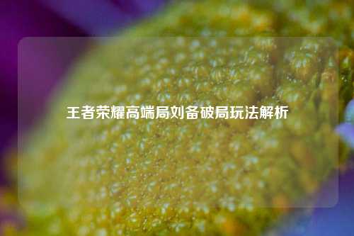 王者荣耀高端局刘备破局玩法解析