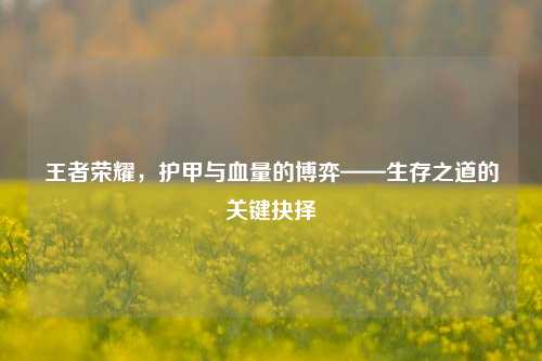 王者荣耀,护甲与血量的博弈——生存之道的关键抉择