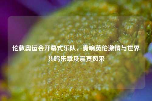 伦敦奥运会开幕式乐队，奏响英伦激情与世界共鸣乐章及嘉宾风采