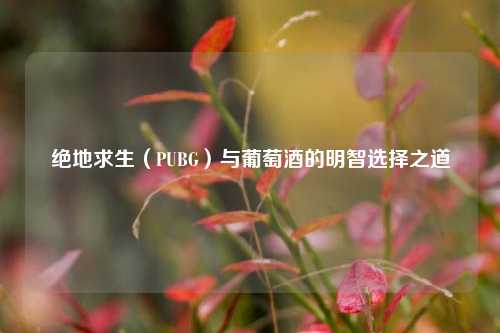 绝地求生（PUBG）与葡萄酒的明智选择之道