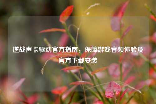 逆战声卡驱动官方指南,保障游戏音频体验及官方下载安装