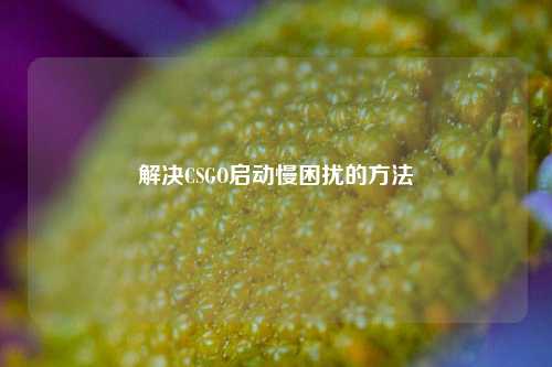 解决CSGO启动慢困扰的方法