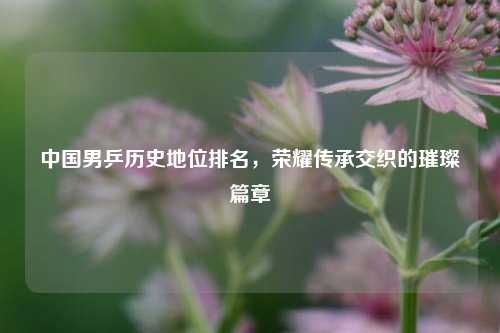 中国男乒历史地位排名,荣耀传承交织的璀璨篇章