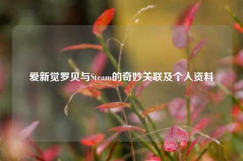 爱新觉罗贝与Steam的奇妙关联及个人资料