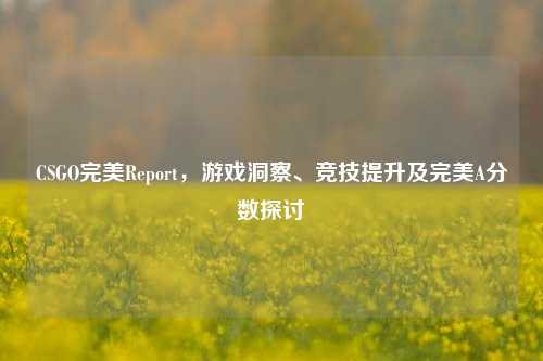 CSGO完美Report,游戏洞察、竞技提升及完美A分数探讨