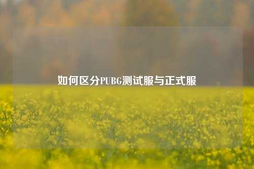 如何区分PUBG测试服与正式服