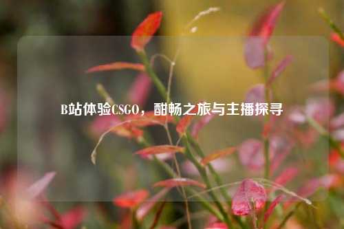 B站体验CSGO，酣畅之旅与主播探寻