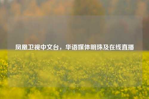 凤凰卫视中文台，华语媒体明珠及在线直播