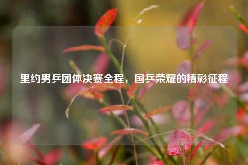 里约男乒团体决赛全程，国乒荣耀的精彩征程