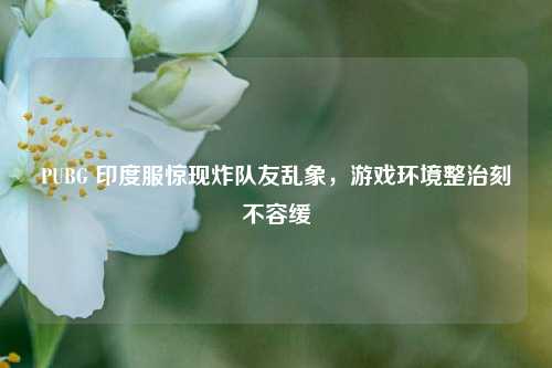 PUBG 印度服惊现炸队友乱象,游戏环境整治刻不容缓