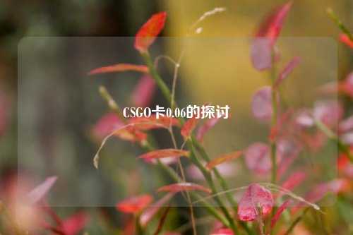 CSGO卡0.06的探讨