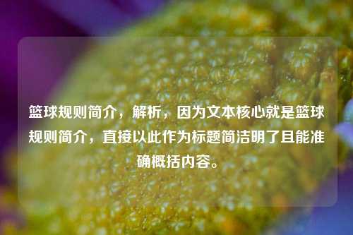 篮球规则简介，解析，因为文本核心就是篮球规则简介，直接以此作为标题简洁明了且能准确概括内容。