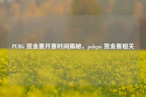 PUBG 赏金赛开赛时间揭秘，pubgm 赏金赛相关