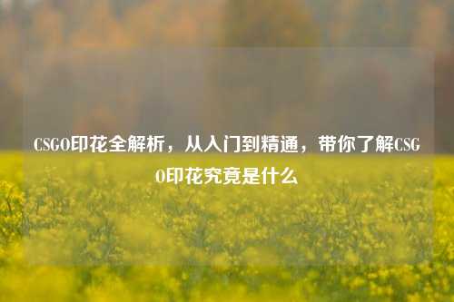 CSGO印花全解析，从入门到精通，带你了解CSGO印花究竟是什么