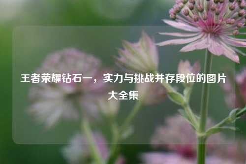 王者荣耀钻石一，实力与挑战并存段位的图片大全集