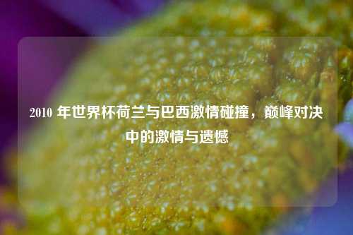2010 年世界杯荷兰与巴西激情碰撞，巅峰对决中的激情与遗憾