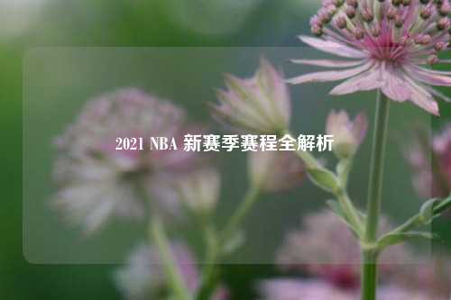2021 NBA 新赛季赛程全解析