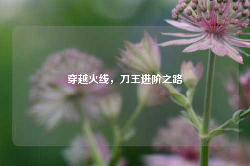 穿越火线,刀王进阶之路