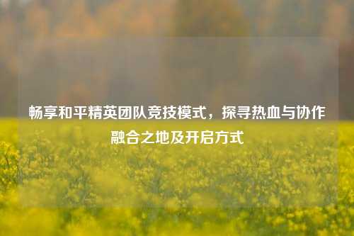 畅享和平精英团队竞技模式,探寻热血与协作融合之地及开启方式
