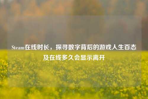 Steam在线时长，探寻数字背后的游戏人生百态及在线多久会显示离开