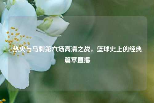 热火与马刺第六场高清之战,篮球史上的经典篇章直播