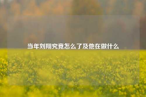 当年刘翔究竟怎么了及他在做什么