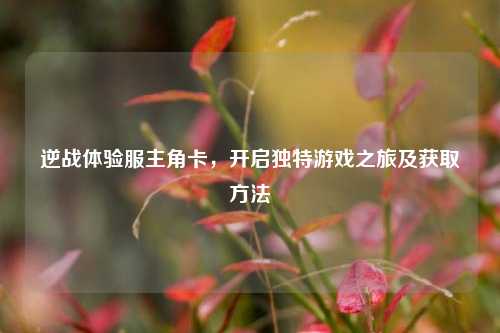 逆战体验服主角卡,开启独特游戏之旅及获取方法