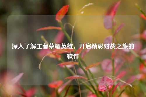 深入了解王者荣耀英雄,开启精彩对战之旅的软件