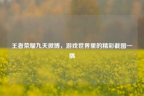 王者荣耀九天微博,游戏世界里的精彩截图一隅