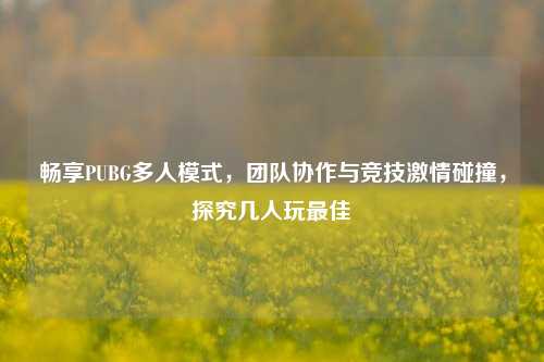 畅享PUBG多人模式,团队协作与竞技激情碰撞,探究几人玩最佳