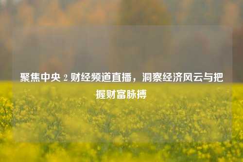 聚焦中央 2 财经频道直播,洞察经济风云与把握财富脉搏