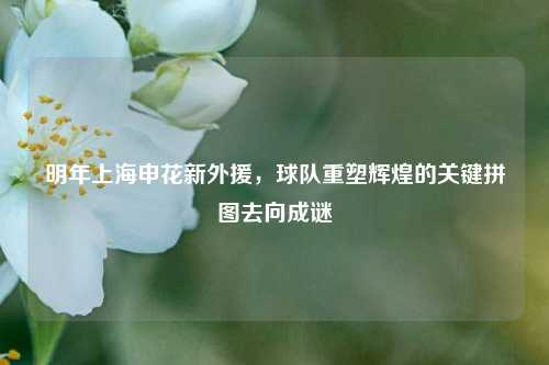 明年上海申花新外援,球队重塑辉煌的关键拼图去向成谜
