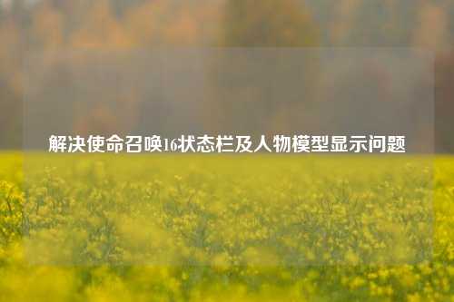 解决使命召唤16状态栏及人物模型显示问题