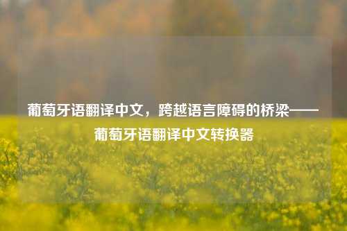 葡萄牙语翻译中文,跨越语言障碍的桥梁——葡萄牙语翻译中文转换器