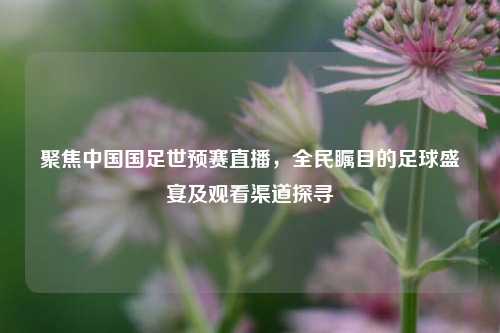 聚焦中国国足世预赛直播，全民瞩目的足球盛宴及观看渠道探寻