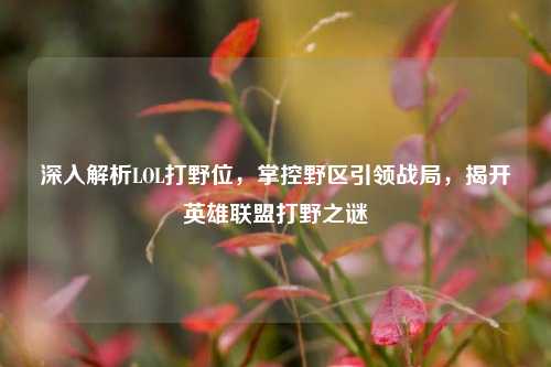 深入解析LOL打野位,掌控野区引领战局,揭开英雄联盟打野之谜
