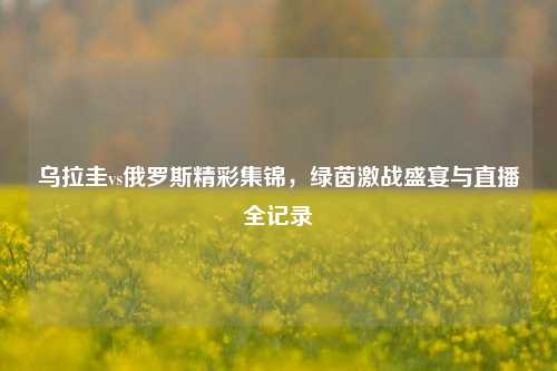 乌拉圭vs俄罗斯精彩集锦,绿茵激战盛宴与直播全记录
