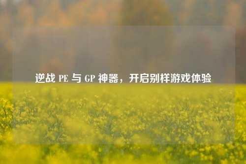逆战 PE 与 GP 神器，开启别样游戏体验