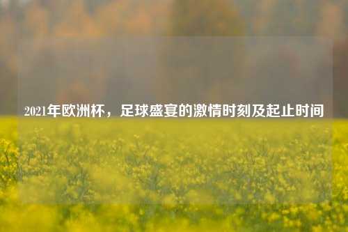 2021年欧洲杯,足球盛宴的激情时刻及起止时间