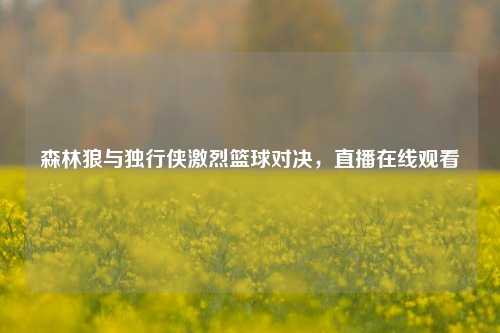 森林狼与独行侠激烈篮球对决，直播在线观看