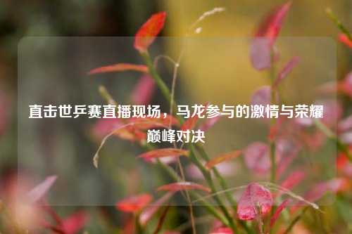 直击世乒赛直播现场，马龙参与的激情与荣耀巅峰对决
