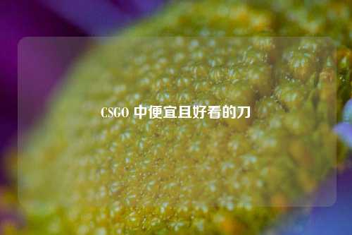 CSGO 中便宜且好看的刀