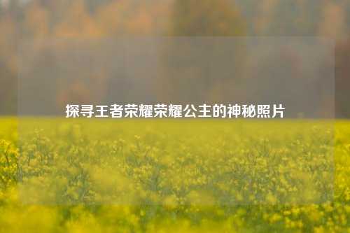 探寻王者荣耀荣耀公主的神秘照片