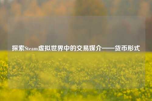 探索Steam虚拟世界中的交易媒介——货币形式