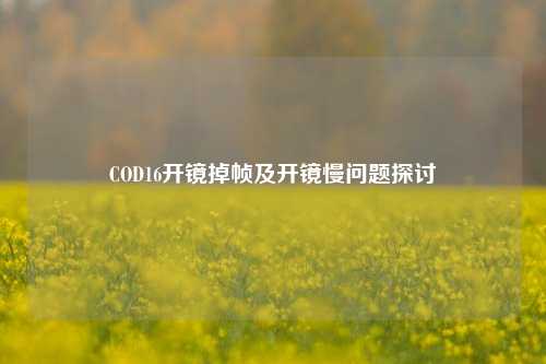 COD16开镜掉帧及开镜慢问题探讨