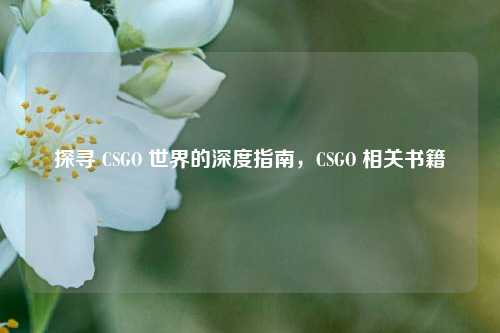探寻 CSGO 世界的深度指南,CSGO 相关书籍